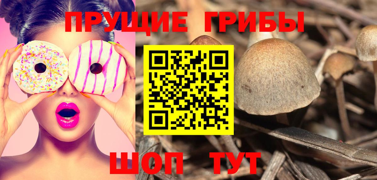 Галлюциногенные грибы Cubensis Кохма