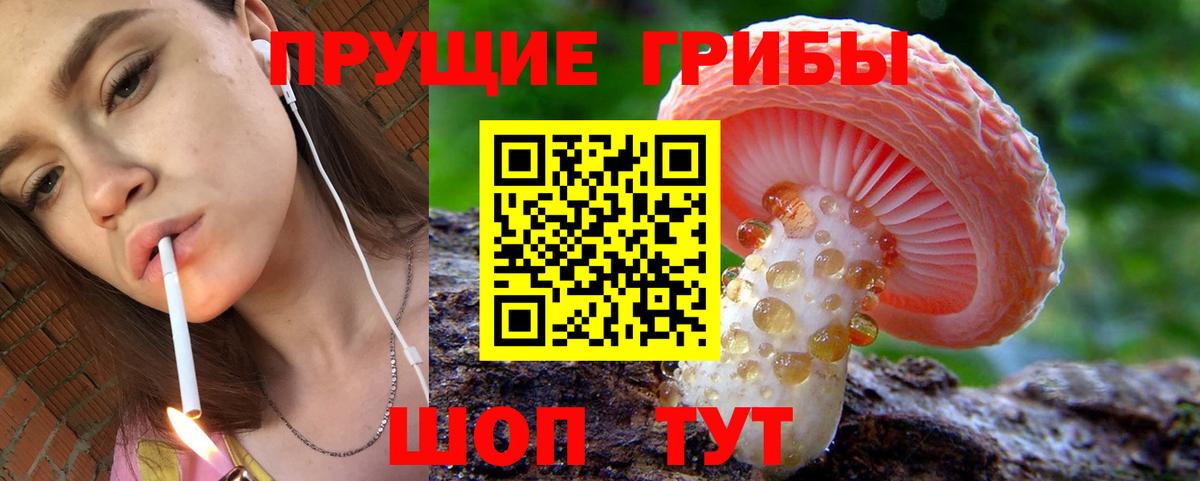 Кохма  закладки  Вход с VPN  Псилоцибиновые грибы MAGIC MUSHROOMS 